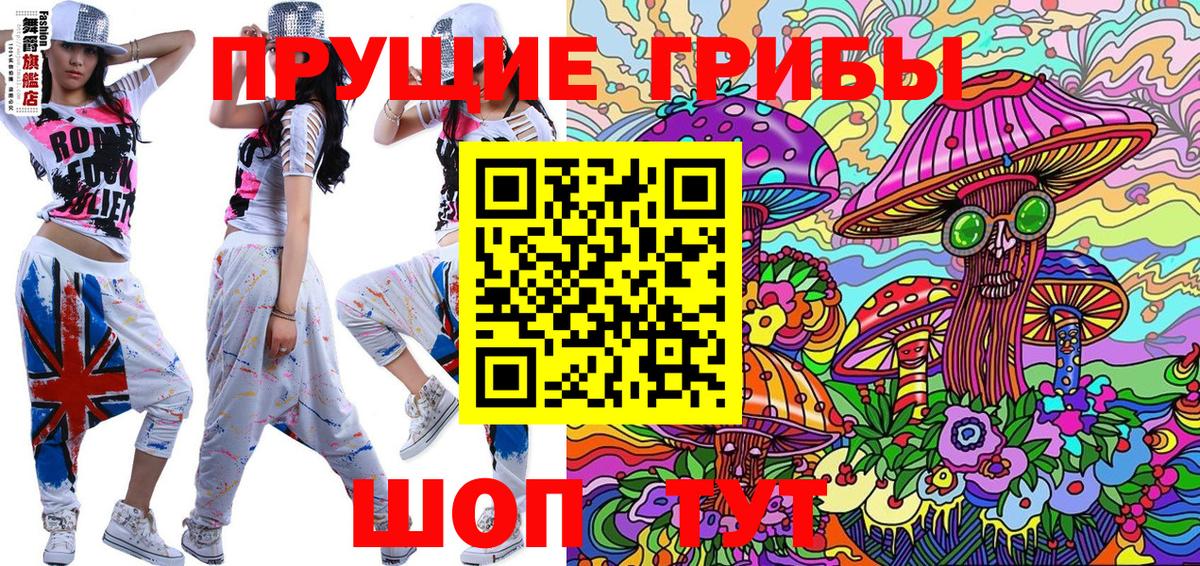 Галлюциногенные грибы MAGIC MUSHROOMS  Галлюциногенные грибы MAGIC MUSHROOMS  где найти   Михайловск  Вход с VPN 