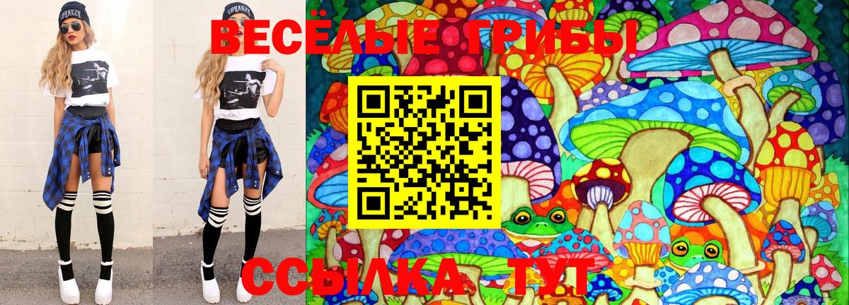 Галлюциногенные грибы Psilocybine cubensis Михайловск